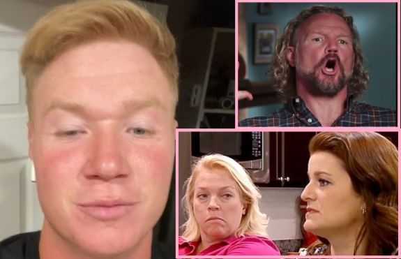 Sister Wives' Janelle Brown Children: Kids With Kody