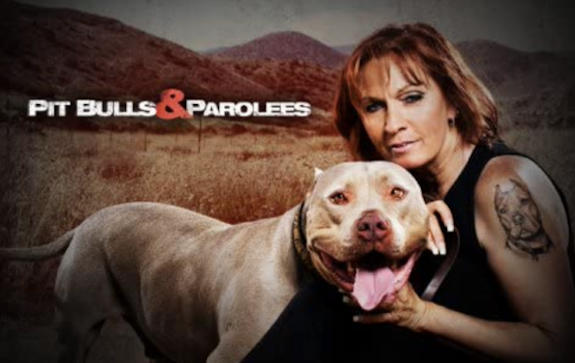 Tia Torres of Animal Planet's 'Pit Bulls & Parolees' Explains Why