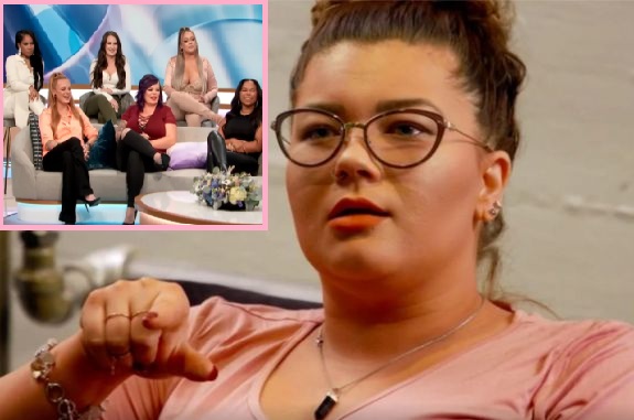 Amber Portwood Taunts ‘Teen Mom’ Co-Stars for Not Having Jobs; Claims Her Quitting ‘Teen Mom: The Next Chapter’ Caused MTV to Cancel It