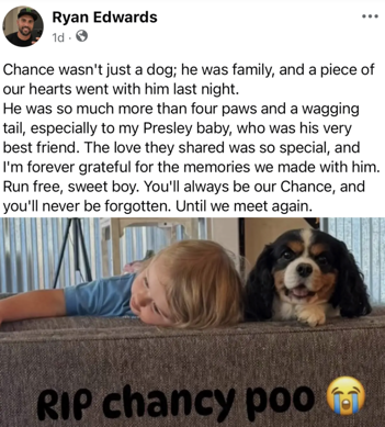 Ryan dog